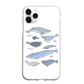 Чехол для iPhone 11 Pro матовый с принтом киты в городе Новоалтайск, Силикон |  | ocean | orca | sea | sea animal | whale | графика | дельфин | иллюстрация | касатка | кит | море | океан | рисунок кита