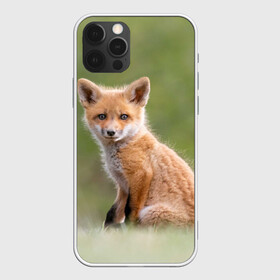 Чехол для iPhone 12 Pro Max с принтом Лисенок в городе Новоалтайск, Силикон |  | Тематика изображения на принте: fox | foxy | животное | звери | лиса | лисенок | лисичка | милая | рыжая | фокс