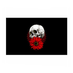 Бумага для упаковки 3D с принтом Череп и Красный Цветок Skull в городе Новоалтайск, пластик и полированная сталь | круглая форма, металлическое крепление в виде кольца | Тематика изображения на принте: flowers | head | skulls | букет | голова | животные | кости | мозги | паттерн | полосы | природа | розы | скелет | текстура | узор | флора | хо | цветы | черепа | черный | яркий