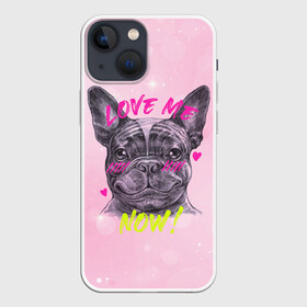 Чехол для iPhone 13 mini с принтом французский бульдог Люби меня в городе Новоалтайск,  |  | 14 февраля | бульдог | влюбленные | люби меня | любовь | пес | собачка | французский бульдог