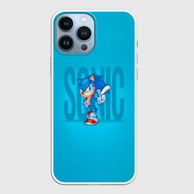Чехол для iPhone 13 Pro Max с принтом Легендарный ёж в городе Новоалтайск,  |  | sonic | доктор эггман | ёж | ёж шедоу | ехидна наклз | майлз прауэр | соник | тейлз | эми роуз