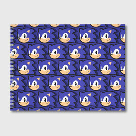 Альбом для рисования с принтом Sonic pattern в городе Новоалтайск, 100% бумага
 | матовая бумага, плотность 200 мг. | Тематика изображения на принте: sonic | доктор эггман | ёж | ёж шедоу | ехидна наклз | майлз прауэр | соник | тейлз | эми роуз