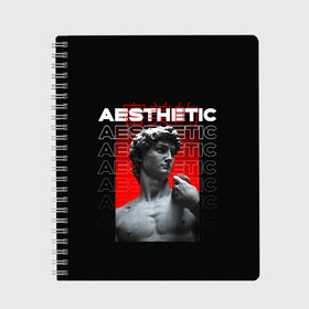 Тетрадь с принтом ЭСТЕТИЧЕСКИЙ / AESTHETIC в городе Новоалтайск, 100% бумага | 48 листов, плотность листов — 60 г/м2, плотность картонной обложки — 250 г/м2. Листы скреплены сбоку удобной пружинной спиралью. Уголки страниц и обложки скругленные. Цвет линий — светло-серый
 | Тематика изображения на принте: aesthetic | devid statue | градиент | давид | китайские иероглифы | статуя | эстетика. | эстетический