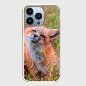 Чехол для iPhone 13 Pro с принтом Лисичка в городе Новоалтайск,  |  | fox | foxy | животное | звери | лиса | лисенок | лисичка | милая | рыжая | фокс