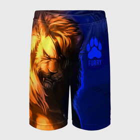 Детские спортивные шорты 3D с принтом Furry lion в городе Новоалтайск,  100% полиэстер
 | пояс оформлен широкой мягкой резинкой, ткань тянется
 | furry | lion | антропоморфные животные | лев | люди животные | разбойник | фурри | фурри фэндом