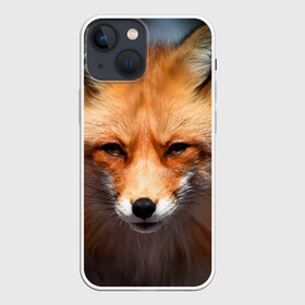 Чехол для iPhone 13 mini с принтом Хитрая лисица в городе Новоалтайск,  |  | Тематика изображения на принте: fox | foxy | животное | звери | лиса | лисенок | лисичка | милая | рыжая | фокс