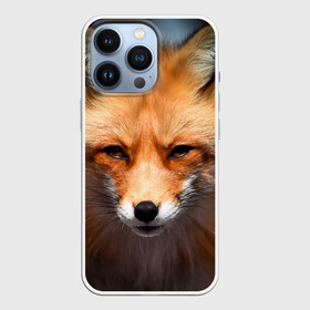 Чехол для iPhone 13 Pro с принтом Хитрая лисица в городе Новоалтайск,  |  | fox | foxy | животное | звери | лиса | лисенок | лисичка | милая | рыжая | фокс
