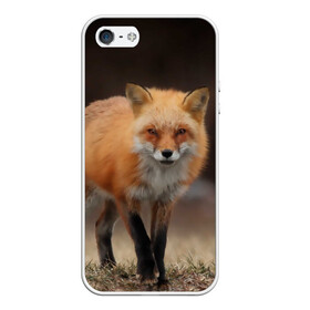 Чехол для iPhone 5/5S матовый с принтом Хитрая лисица в городе Новоалтайск, Силикон | Область печати: задняя сторона чехла, без боковых панелей | Тематика изображения на принте: fox | foxy | животное | звери | лиса | лисенок | лисичка | милая | рыжая | фокс