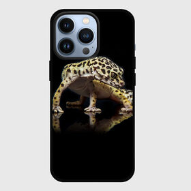 Чехол для iPhone 13 Pro с принтом ЭУБЛЕФАР  EUBLEPHARIS в городе Новоалтайск,  |  | tegunvteg | геккон | гекон | зублефар | леопардовый геккон | эу | эублефар | ящерица