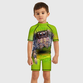 Детский купальный костюм 3D с принтом ПАУК МАКРО в городе Новоалтайск, Полиэстер 85%, Спандекс 15% | застежка на молнии на спине | tegunvteg | глаза | животные | макро | насекомые | паук | природа