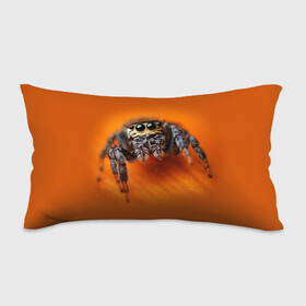 Подушка 3D антистресс с принтом ПАУК  SPIDER в городе Новоалтайск, наволочка — 100% полиэстер, наполнитель — вспененный полистирол | состоит из подушки и наволочки на молнии | tegunvteg | глаза | животные | макро | насекомые | паук | природа