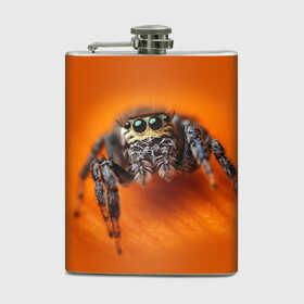 Фляга с принтом ПАУК  SPIDER в городе Новоалтайск, металлический корпус | емкость 0,22 л, размер 125 х 94 мм. Виниловая наклейка запечатывается полностью | tegunvteg | глаза | животные | макро | насекомые | паук | природа