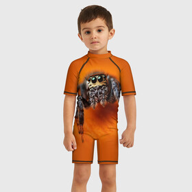 Детский купальный костюм 3D с принтом ПАУК  SPIDER в городе Новоалтайск, Полиэстер 85%, Спандекс 15% | застежка на молнии на спине | tegunvteg | глаза | животные | макро | насекомые | паук | природа