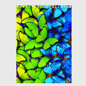 Скетчбук с принтом БАБОЧКИ УЗОР / BUTTERFLIES в городе Новоалтайск, 100% бумага
 | 48 листов, плотность листов — 100 г/м2, плотность картонной обложки — 250 г/м2. Листы скреплены сверху удобной пружинной спиралью | Тематика изображения на принте: butterflies | texture | бабочки | весна | животные | лето | природа. | текстура | узор
