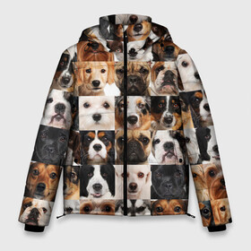 Мужская зимняя куртка 3D с принтом Я ЛЮБЛЮ СОБАК I LOVE DOGS в городе Новоалтайск, верх — 100% полиэстер; подкладка — 100% полиэстер; утеплитель — 100% полиэстер | длина ниже бедра, свободный силуэт Оверсайз. Есть воротник-стойка, отстегивающийся капюшон и ветрозащитная планка. 

Боковые карманы с листочкой на кнопках и внутренний карман на молнии. | collage dogs | dogs | i love dogs | домашние животные | друзья наши младшие | коллаж | собаки | собачки. | я люблю собак
