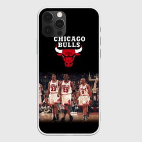 Чехол для iPhone 12 Pro Max с принтом CHICAGO BULLS [3] в городе Новоалтайск, Силикон |  | basketball | bulls | chicago | chicago bulls | jordan | nba | баскетбол | джордан | нба | чикаго буллз