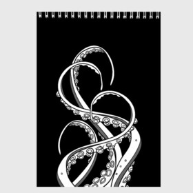 Скетчбук с принтом Octopus Black and White в городе Новоалтайск, 100% бумага
 | 48 листов, плотность листов — 100 г/м2, плотность картонной обложки — 250 г/м2. Листы скреплены сверху удобной пружинной спиралью | Тематика изображения на принте: fish | kraken | ocean spirit | octopus | sea | summer | вода | водный мир | животные | зверь | кальмар | кракен | лето | монстр | море | морская живность | морские обитатели | осьминог | отпуск | рыба | черно белый | чуд