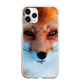 Чехол для iPhone 11 Pro Max матовый с принтом Мордочка лисы в городе Новоалтайск, Силикон |  | Тематика изображения на принте: fox | foxy | животное | звери | лиса | лисенок | лисичка | милая | рыжая | фокс