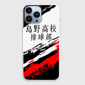 Чехол для iPhone 13 Pro Max с принтом Старшая Карасуно | ВОЛЕЙБОЛ в городе Новоалтайск,  |  | Тематика изображения на принте: anime | haikyu | haikyuu | karasuno | аниме | волейбол | ворон | кагеяма | карасуно | кей | кенма | козуме | куроо | маленький гигант | манга | мяч | некома | ойкава | сатори | сёё | тендо | тобио | тоору | хайкью | хината
