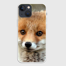 Чехол для iPhone 13 mini с принтом Миленький лисенок в городе Новоалтайск,  |  | Тематика изображения на принте: fox | foxy | животное | звери | лиса | лисенок | лисичка | милая | рыжая | фокс