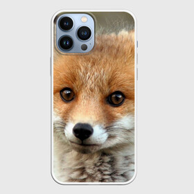 Чехол для iPhone 13 Pro Max с принтом Миленький лисенок в городе Новоалтайск,  |  | fox | foxy | животное | звери | лиса | лисенок | лисичка | милая | рыжая | фокс