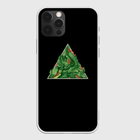 Чехол для iPhone 12 Pro Max с принтом Листва в треугольнике в городе Новоалтайск, Силикон |  | красивые | листва | треугольник | черный