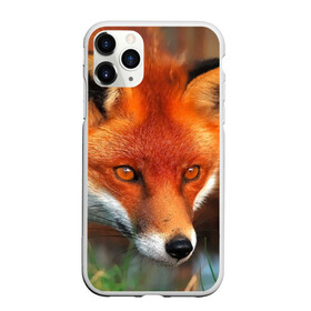 Чехол для iPhone 11 Pro Max матовый с принтом Лисица охотница в городе Новоалтайск, Силикон |  | Тематика изображения на принте: fox | foxy | животное | звери | лиса | лисенок | лисичка | милая | рыжая | фокс
