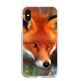 Чехол для iPhone XS Max матовый с принтом Лисица охотница в городе Новоалтайск, Силикон | Область печати: задняя сторона чехла, без боковых панелей | Тематика изображения на принте: fox | foxy | животное | звери | лиса | лисенок | лисичка | милая | рыжая | фокс
