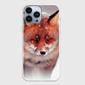 Чехол для iPhone 13 Pro Max с принтом Лисица и снег в городе Новоалтайск,  |  | fox | foxy | животное | звери | лиса | лисенок | лисичка | милая | рыжая | фокс