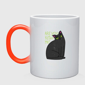 Кружка хамелеон с принтом Are you kitten me | Чёрный кот в городе Новоалтайск, керамика | меняет цвет при нагревании, емкость 330 мл | big eyes | black cat | fear | funny cat | joking | kitten | kitty | игра слов | испуг | киса | кот с большими глазами | котёнок | котик | котики | кошка | кошки | милый котик | не шути со мной | прикол | рисунок | тёмный кот