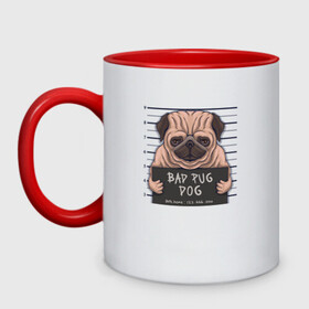 Кружка двухцветная с принтом Bad pug dog в городе Новоалтайск, керамика | объем — 330 мл, диаметр — 80 мм. Цветная ручка и кайма сверху, в некоторых цветах — вся внутренняя часть | cute | dog | pug | woof | гав | забавный | мопс | пес | песель | песик | смешной | собака | собачка | щенок