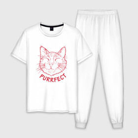 Мужская пижама хлопок с принтом Purrfect в городе Новоалтайск, 100% хлопок | брюки и футболка прямого кроя, без карманов, на брюках мягкая резинка на поясе и по низу штанин
 | animal | cat | cute | kitty | meow | друг | животные | киска | кися | китти | кот | котенок | котик | котэ | кошечка | кошка | мур | мяу | питомец