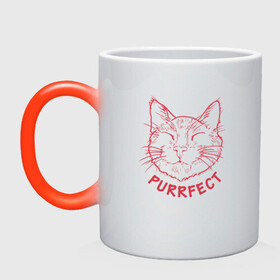 Кружка хамелеон с принтом Purrfect в городе Новоалтайск, керамика | меняет цвет при нагревании, емкость 330 мл | animal | cat | cute | kitty | meow | друг | животные | киска | кися | китти | кот | котенок | котик | котэ | кошечка | кошка | мур | мяу | питомец