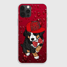 Чехол для iPhone 12 Pro Max с принтом Cool Dog в городе Новоалтайск, Силикон |  | арт | бабочка | графика | животные | звери | кепка | собака