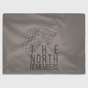 Плед 3D с принтом GoT | The North Remembers в городе Новоалтайск, 100% полиэстер | закругленные углы, все края обработаны. Ткань не мнется и не растягивается | Тематика изображения на принте: crow | fire and blood | game of thrones | lannister | stark | statwb | targaryen | винтерфел | ворон | игра престолов | король ночи | ланнистер | лютоволк | мать драконов | пламя и кровь | север | старки | таргариен | черные крылья