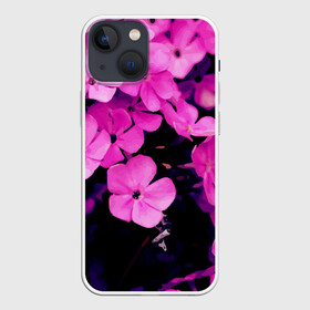 Чехол для iPhone 13 mini с принтом Цветочный Альянс в городе Новоалтайск,  |  | краски | лес. | отдых | природа | сад | свежесть | спокойствие | цветочки