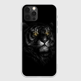 Чехол для iPhone 12 Pro Max с принтом Тигр в городе Новоалтайск, Силикон |  | взгляд | глаза | киса | киска | кот | котик | котяра | профиль | пушистый | тигр | усы