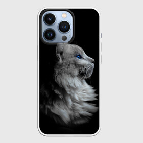 Чехол для iPhone 13 Pro с принтом Голубоглазый гот в городе Новоалтайск,  |  | Тематика изображения на принте: белоснежный | взгляд | глаза | голубоглазый | киса | киска | кот | котик | котяра | профиль | пушистый | усы