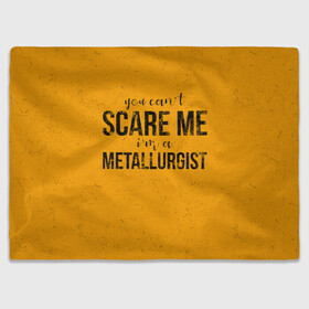 Плед 3D с принтом You can`t scare me в городе Новоалтайск, 100% полиэстер | закругленные углы, все края обработаны. Ткань не мнется и не растягивается | metal | metall | metallurg | metallurgist | железо | метал | металлург | металлургия | металург | профессия | профессия металлург | руда | сплав
