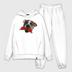 Мужской костюм хлопок OVERSIZE с принтом Амстафф в городе Новоалтайск,  |  | amstaff | американский стаффордширский терьер | амстафф | аст | собака | сосиска | стафф | стаффорд