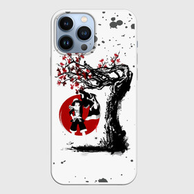 Чехол для iPhone 13 Pro Max с принтом Манки Д. Луффи | One Piece. Большой куш в городе Новоалтайск,  |  | Тематика изображения на принте: anime | manga | monkey d. luffy | one piece | аниме | большой куш | ван пис | вон пис | гол д. роджер | кайдо | король пиратов | луфи | луффи | манга | манки д. луффи | нами | нико робин | пират | портгас д. эйс | ророноа зоро