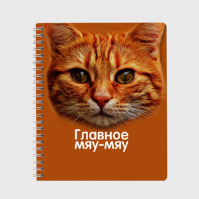 Тетрадь с принтом ГЛАВНОЕ МЯУ-МЯУ в городе Новоалтайск, 100% бумага | 48 листов, плотность листов — 60 г/м2, плотность картонной обложки — 250 г/м2. Листы скреплены сбоку удобной пружинной спиралью. Уголки страниц и обложки скругленные. Цвет линий — светло-серый
 | главное мяу мяу | животные | кот | кошка | мордочка | мяу | рыжий