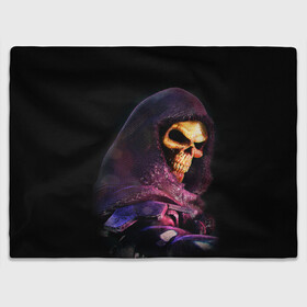 Плед 3D с принтом Skeletor | Masters of the Universe (+спина)  (Z) в городе Новоалтайск, 100% полиэстер | закругленные углы, все края обработаны. Ткань не мнется и не растягивается | he man | logo | masters of the universe | she ra | skeletor | властелины вселенной | логип | лого | мульт | мультфильм | скелетор