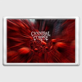 Магнит 45*70 с принтом Blood Cannibal Corpse | Труп Каннибала (Z) в городе Новоалтайск, Пластик | Размер: 78*52 мм; Размер печати: 70*45 | Тематика изображения на принте: cannibal | cannibal corpse | corpse | death metal | deathgrind | алекс уэбстер | брутальный дэт метал | дэт метал | дэтграйнд | пол мазуркевич | роб барретт | труп каннибала