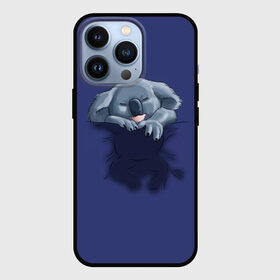 Чехол для iPhone 13 Pro с принтом Спящая коала в городе Новоалтайск,  |  | Тематика изображения на принте: koala | арт | детеныш | детёныш коалы | животное | зверь | карман на груди | коала | малыш | медведь | медвежонок | милота | милые животные | милые звери | милые зверьки | мимими | мишка | ребенок