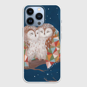 Чехол для iPhone 13 Pro с принтом Ночные обнимашки в городе Новоалтайск,  |  | Тематика изображения на принте: арт | ветка | дерево | звёздное небо | луна | ночь | одеяло | плед | полу месяц | природа | птица | птицы | рисунок | снег | снежинки | сова | совы
