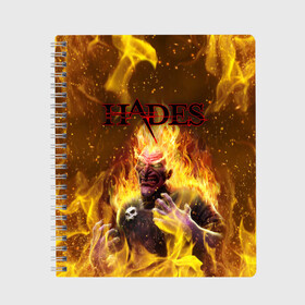 Тетрадь с принтом Hades | Гадес (Z) в городе Новоалтайск, 100% бумага | 48 листов, плотность листов — 60 г/м2, плотность картонной обложки — 250 г/м2. Листы скреплены сбоку удобной пружинной спиралью. Уголки страниц и обложки скругленные. Цвет линий — светло-серый
 | aid | hades | nyx | roguelike | thanatos | zagreus | аид | гадес | загрей | никс | рогалик | танатос