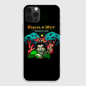 Чехол для iPhone 12 Pro Max с принтом Камнем по голове Король и Шут в городе Новоалтайск, Силикон |  | horror punk | king and jester | kish | knyazz | music | punk rock | rock group | russian rock | todd | андреем князевым | горшок | к и ш | киш | княzz | князь | король и шут | михаил горшенёв | музыка | панк рок | рок группа | русский рок | тод