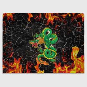 Плед 3D с принтом Дракон Огонь Dragon Fire в городе Новоалтайск, 100% полиэстер | закругленные углы, все края обработаны. Ткань не мнется и не растягивается | beast | dragon | fire | горелый | дракон | животные | зверь | змей | когти | огонь | пепел | пламя | узор | чб | японский