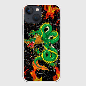 Чехол для iPhone 13 mini с принтом Дракон Огонь Dragon Fire в городе Новоалтайск,  |  | beast | dragon | fire | горелый | дракон | животные | зверь | змей | когти | огонь | пепел | пламя | узор | чб | японский